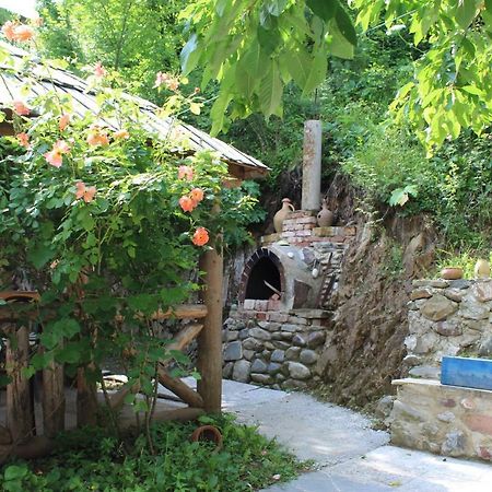 Hotel Nikala'S House Borjomi Exterior foto