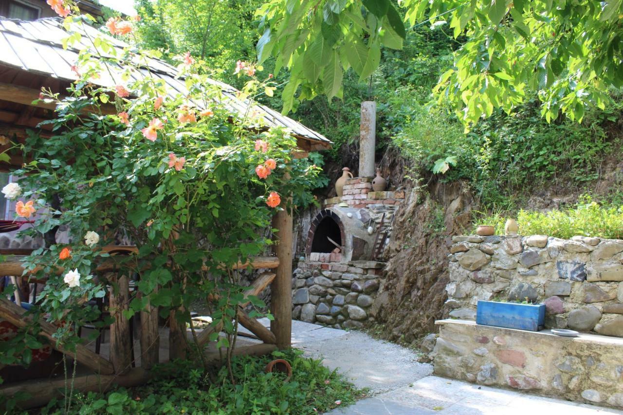 Hotel Nikala'S House Borjomi Exterior foto